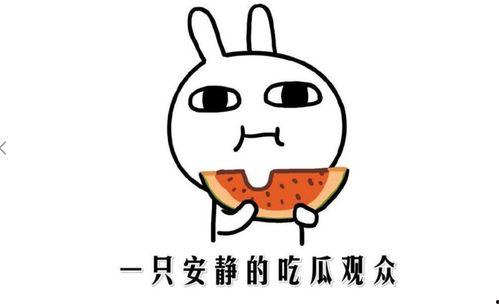 娱乐吃瓜君的消息准确吗,消息准确性揭秘